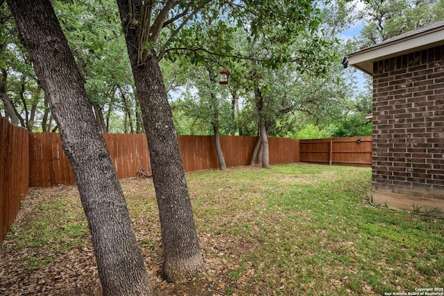 8707 Kallison Arbor, San Antonio, TX 78254 - view of yard