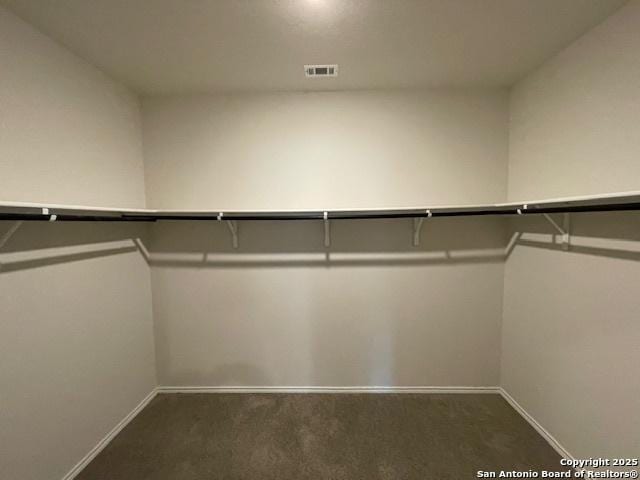 spacious closet featuring carpet floors