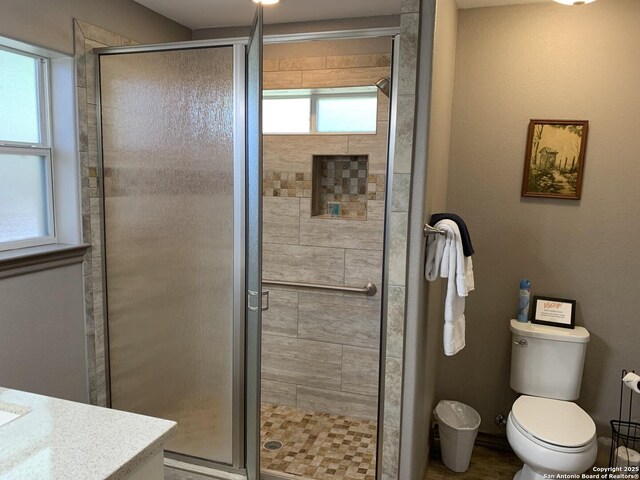 full bath featuring a shower stall, vanity, and toilet