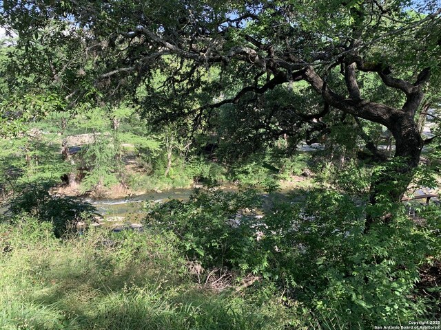 view of nature