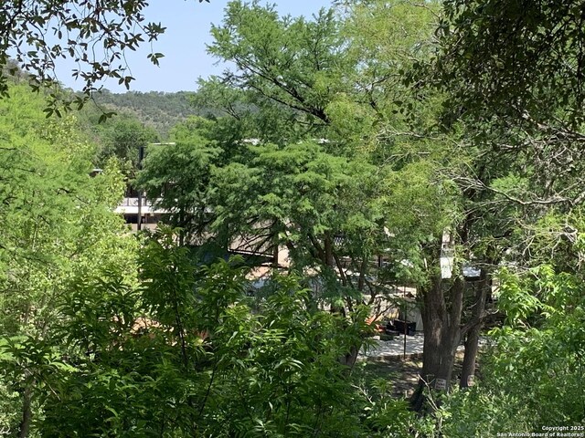 view of wooded area