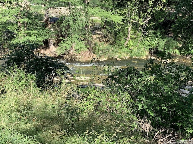 view of nature