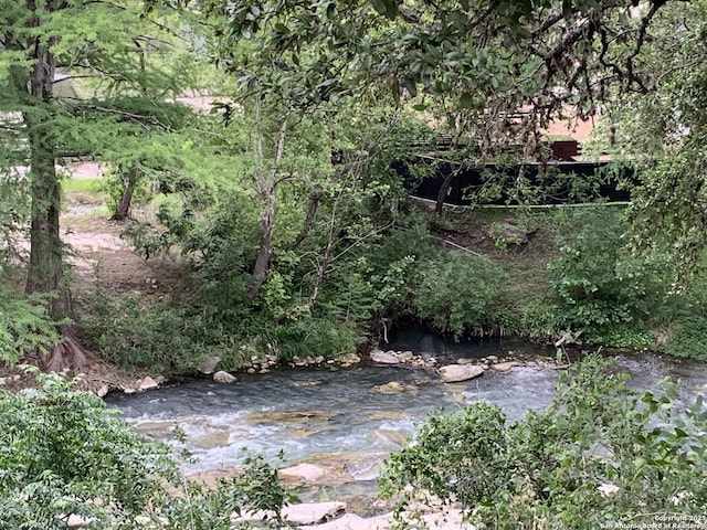 view of undeveloped land