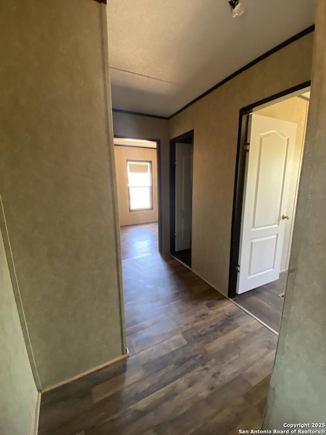 311 N Darlington, Dilley, TX 78017 - corridor featuring wood finished floors and ornamental molding