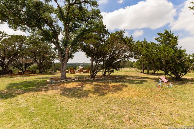 view of green lawn