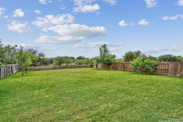 141 Glen Eagles, Cibolo, TX 78108 - view of yard