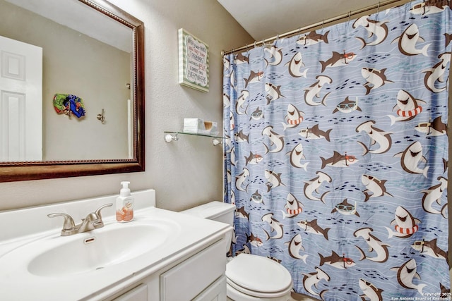141 Glen Eagles, Cibolo, TX 78108 - bathroom with toilet, vanity, a textured wall, and a shower with curtain