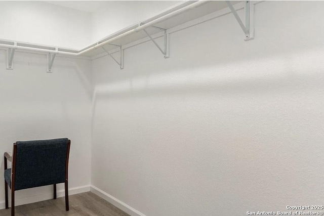 250 Oelkers, San Antonio, TX 78204 - spacious closet with light wood finished floors