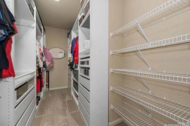 walk in closet with carpet flooring