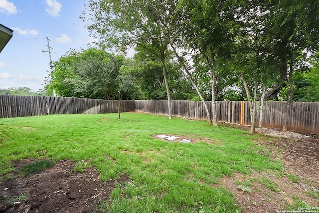 12466 Belfort Pt, Schertz, TX 78154 - view of yard