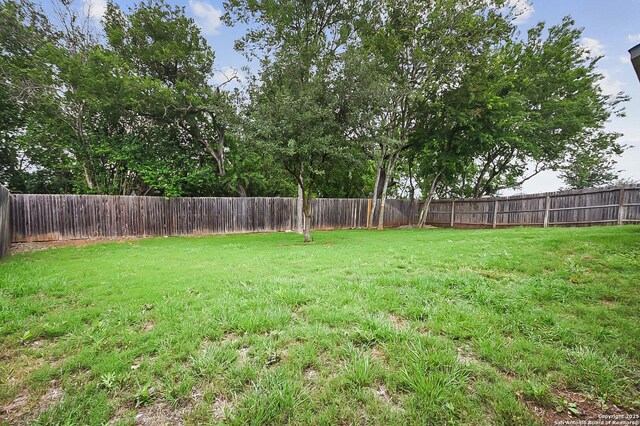 12466 Belfort Pt, Schertz, TX 78154 - view of yard