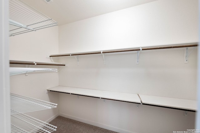 2230 Bennett Ave, New Braunfels, TX 78132 - walk in closet featuring carpet floors
