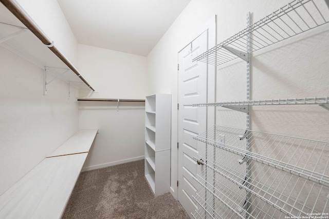 2230 Bennett Ave, New Braunfels, TX 78132 - walk in closet featuring carpet