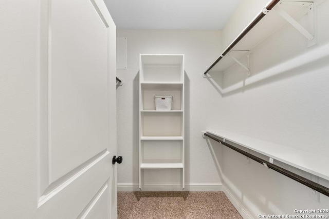 1310 S Mesquite, San Antonio, TX 78210 - walk in closet featuring light colored carpet