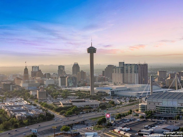 1310 S Mesquite, San Antonio, TX 78210 - city view