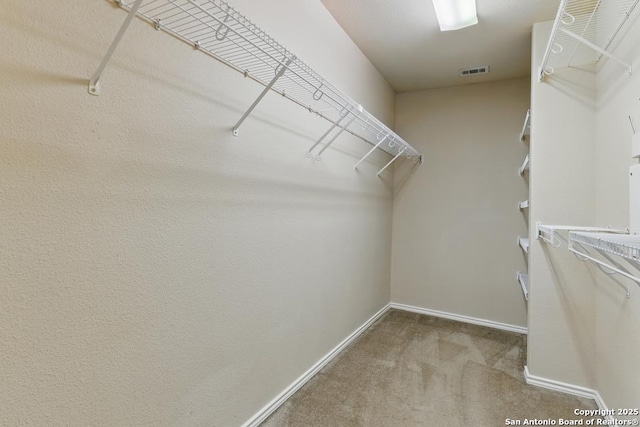 walk in closet featuring carpet