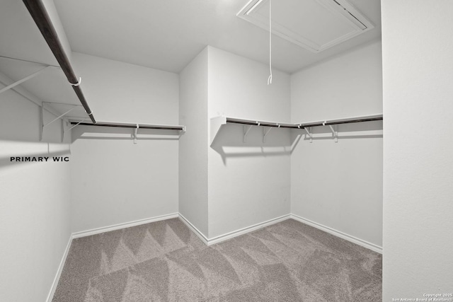spacious closet with attic access and carpet