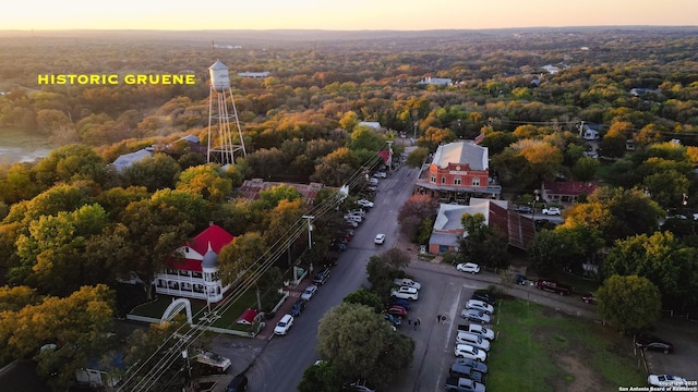 bird's eye view of a heavily wooded area