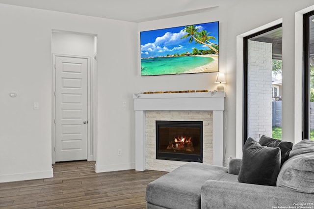 435 Bridle Trl, New Braunfels, TX 78132 - living area featuring wood finished floors, baseboards, and a glass covered fireplace