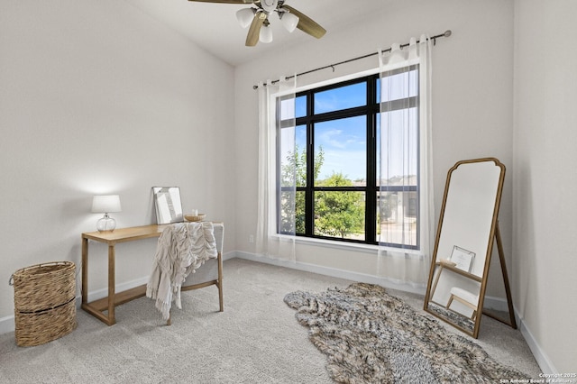 435 Bridle Trl, New Braunfels, TX 78132 - office space featuring carpet flooring, a ceiling fan, baseboards, and vaulted ceiling