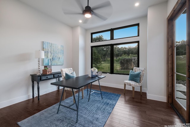 3045 Campestres, Spring Branch, TX 78070 - office space featuring healthy amount of natural light, a ceiling fan, wood finished floors, baseboards, and recessed lighting