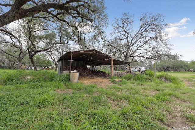 101 Cynthia, Pleasanton, TX 78064 - view of yard