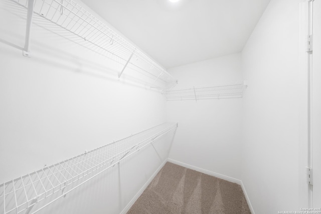 12056 Luckey Villa, San Antonio, TX 78252 - walk in closet with carpet flooring