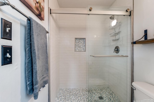 full bathroom featuring a shower stall and toilet