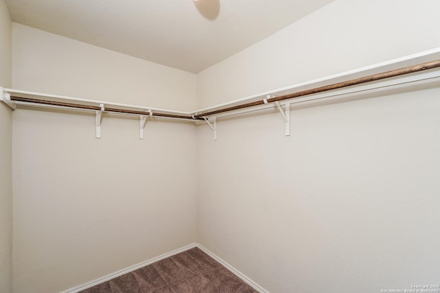 walk in closet featuring dark colored carpet