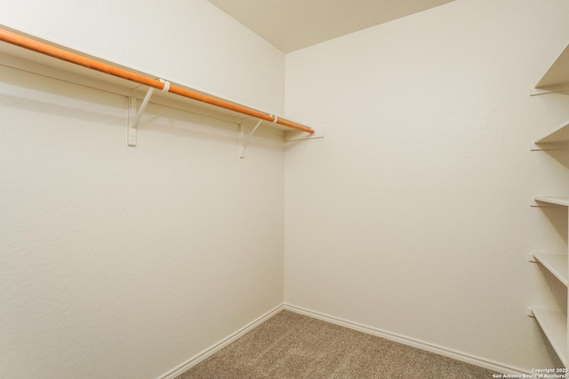 5503 Hidden, San Antonio, TX 78252 - walk in closet featuring carpet flooring