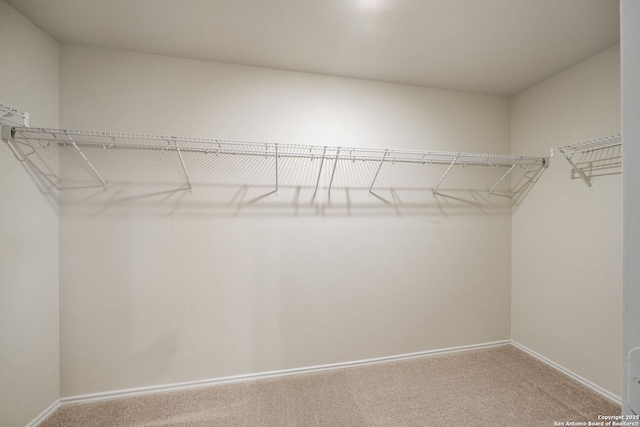 13758 Prospector Post, San Antonio, TX 78253 - spacious closet with carpet