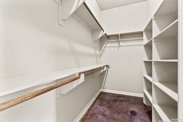 105 Saddle Up, La Vernia, TX 78121 - spacious closet with dark colored carpet