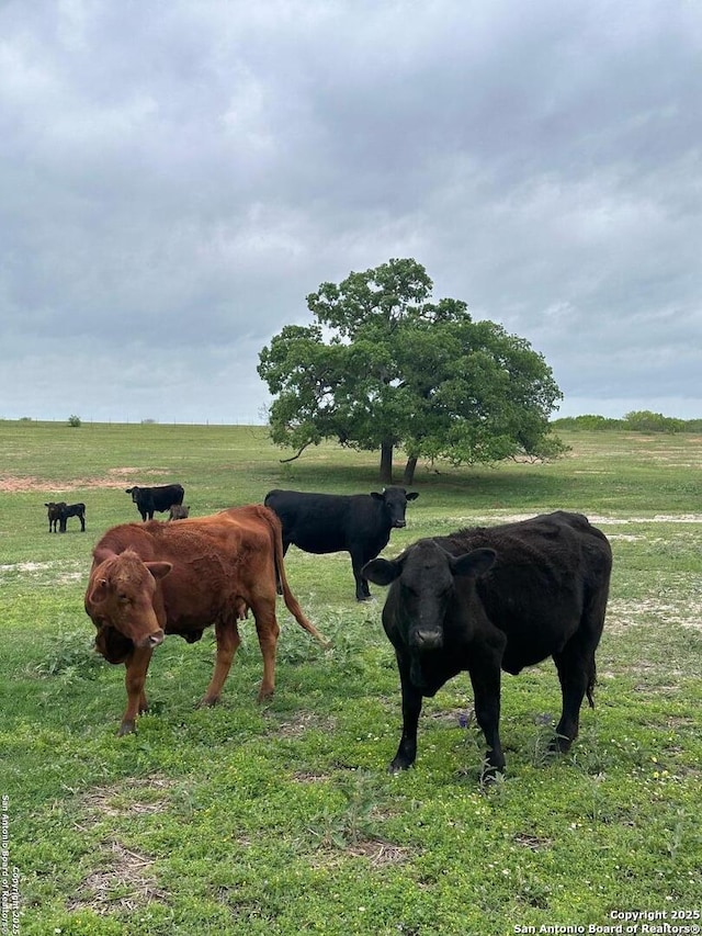 TBD(TRACT2) W Gates Valley, Poteet, TX 78065