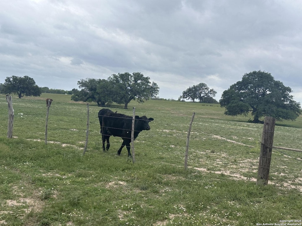 TBD(TRACT2) W Gates Valley, Poteet, TX 78065