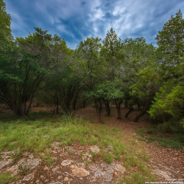 view of undeveloped land