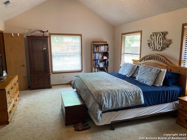 9516 Geronimo Oaks, San Antonio, TX 78254 - bedroom with vaulted ceiling, light colored carpet, and a textured ceiling