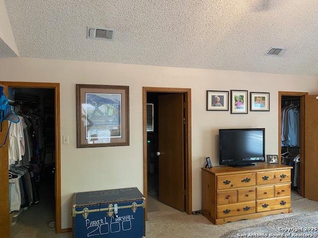 9516 Geronimo Oaks, San Antonio, TX 78254 - bedroom featuring a spacious closet, a textured ceiling, a closet, and light carpet