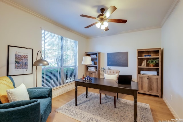 office space featuring crown molding, light wood finished floors, ceiling fan, and baseboards