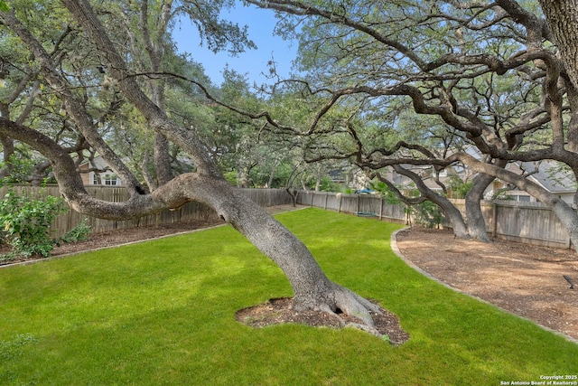 16222 Deer Crst, San Antonio, TX 78248 - view of yard