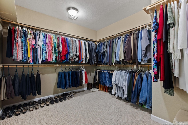 1200 Brand, Bulverde, TX 78163 - spacious closet featuring carpet flooring
