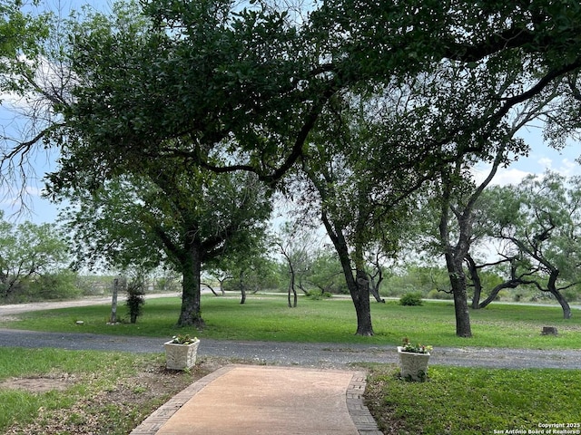 6719 State Highway 55, Uvalde, TX 78801 - view of home's community with a yard