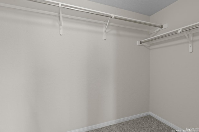 25836 Stone Cyn, San Antonio, TX 78260 - spacious closet featuring carpet