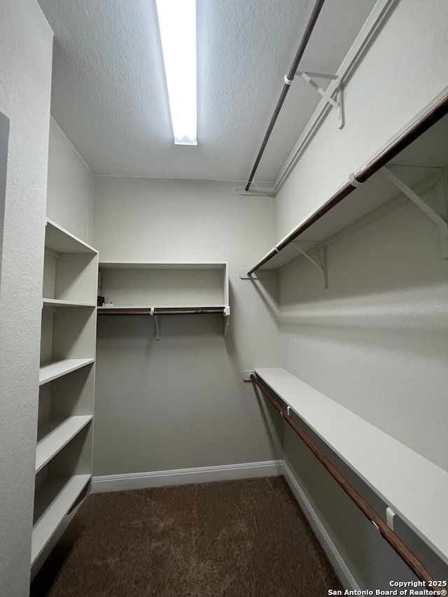 17339 Brachetto, San Antonio, TX 78247 - walk in closet featuring dark carpet