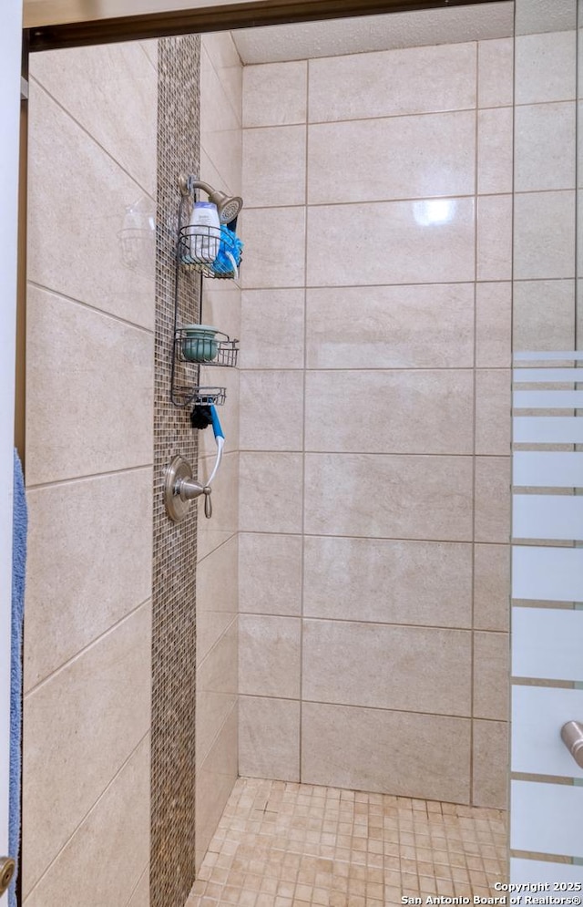 333 Studer, Uvalde, TX 78801 - bathroom with a shower stall