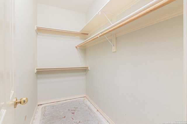 view of spacious closet