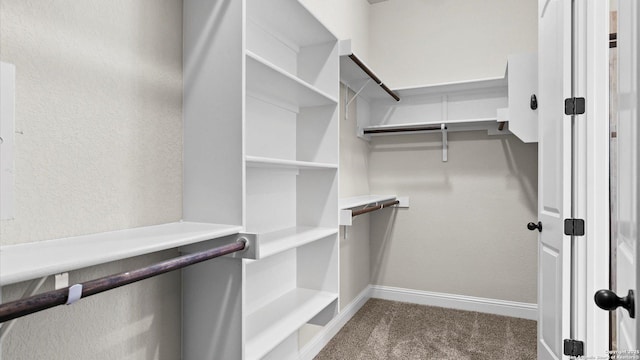spacious closet featuring carpet flooring