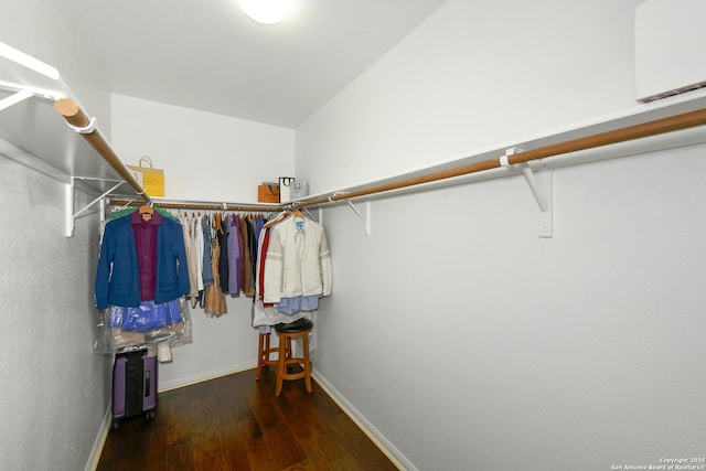 walk in closet featuring wood finished floors