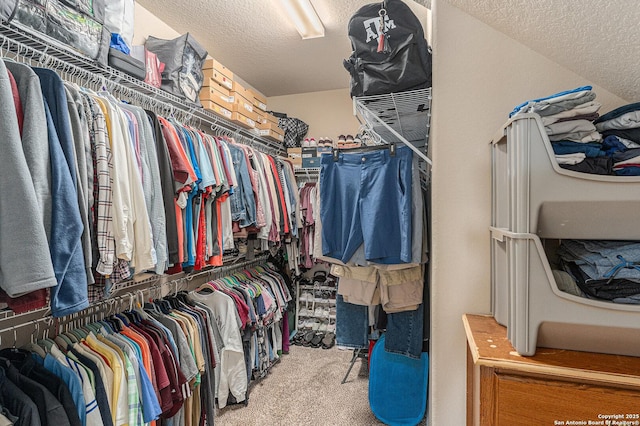 12338 Belfort Pt, Schertz, TX 78154 - spacious closet with carpet flooring