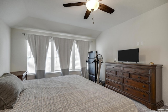12243 Dusty Boots, San Antonio, TX 78254 - bedroom featuring vaulted ceiling, a ceiling fan, and carpet