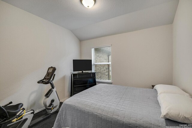 12243 Dusty Boots, San Antonio, TX 78254 - bedroom with vaulted ceiling and carpet floors